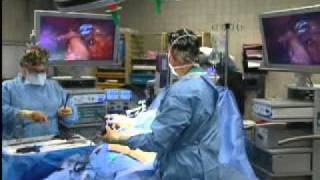 Dr. David Treen's Bio.flv