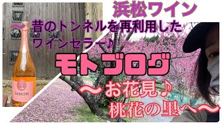 [バイク女子] 桃花の里へ〜まぼろしの鉄道跡のワイン屋〜