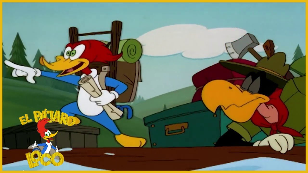 El Pájaro Loco Episodio Completo Buscadores De Oro Dibujos Animados