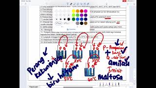 EKSPERIMEN 5.1 Mengkaji kesan suhu terhadap aktiviti enzim amilase (TINGKATAN 4)