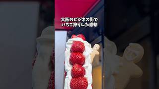 【淀屋橋】大阪のビジネス街でいちご狩りした感想【フルーツカフェひかり】