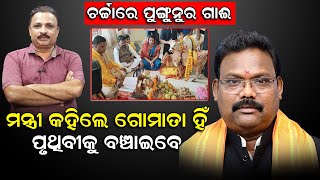 ଚର୍ଚ୍ଚାରେ ପୁଙ୍ଗାନୁର ଗାଈ; ମନ୍ତ୍ରୀ କହିଲେ ଗୋମାତା ହିଁ ପୃଥିବୀକୁ ବଞ୍ଚାଇବେ | Punganur Cow | Odisha |