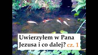 Uwierzyłem i co dalej? Część 1 http://chrzescijanie.info/ Zielone Niwy