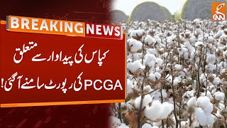 PCGA Report regarding Cotton Production | Breaking News | GNN