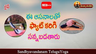 ఈ ఆసనాలతో ఫ్యాట్ కరిగి సన్నబడతారు | Yoga For Fat Reduce | sandhyavandanam telugu yoga