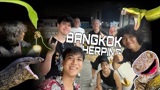 Herping vlog ep.11(part-1)|Bangkok herping with @Chrisweeet and @ToopetVideos 🐍