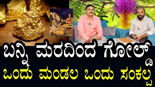 ಬನ್ನಿ ಮರದಿಂದ ಗೋಲ್ಡ್ | ಒಂದು ಮಂಡಲ ಪೂಜೆ ಒಂದು ಸಂಕಲ್ಪ ಪಕ್ಕ ಆಗುತ್ತೆ