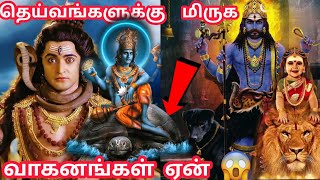 தெய்வங்களுக்கு விலங்கு பறவை வாகனம் ஏன் ? Hindu Gods and their Vehicles | Tamil God  Stories