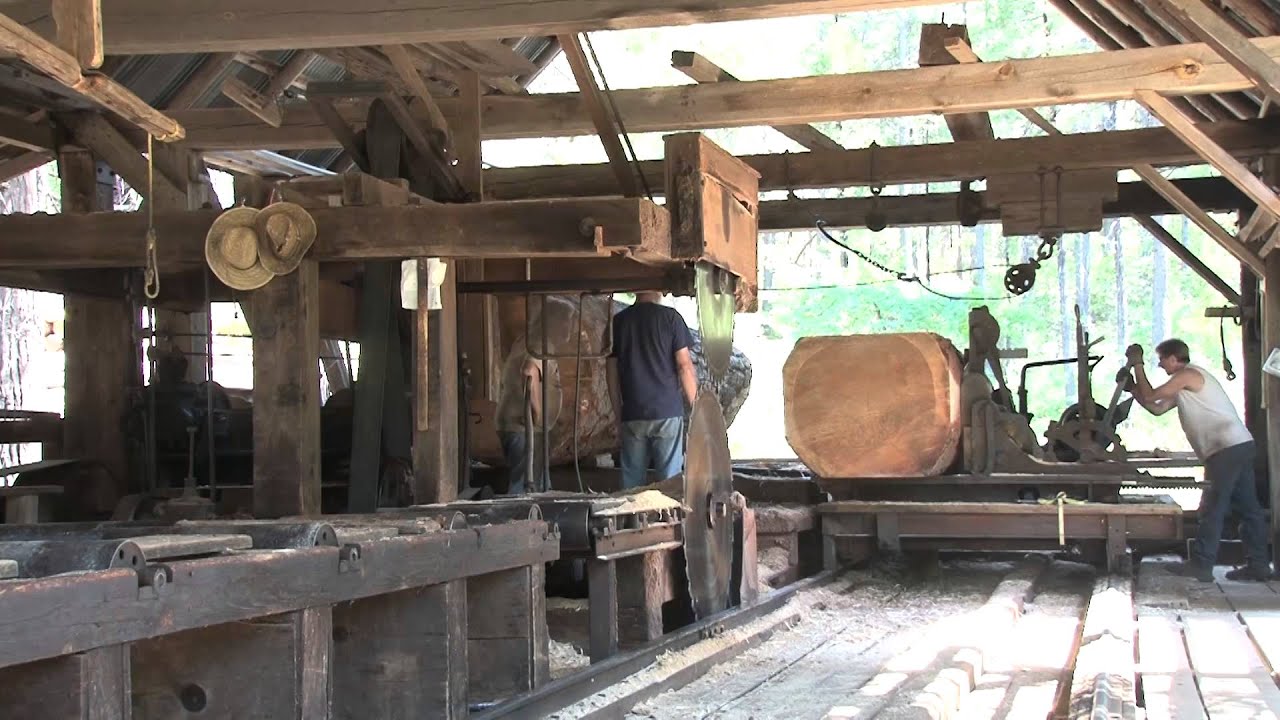 Sawing A Large Log Youtube
