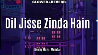 Dil Jisse Zinda Hain (Slowed&Reverb) -  Deejay Mayur Mumbai | Jubin Nautiyal & Meet Bros