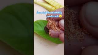 #shortsviral Tamarind+salt🧂=🤤#shortsfeed #food #tastyfood #shortstrending 🥰