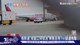 「易斯達」飛釜山突取消 乘客苦等7hr:疑遭鳥擊｜TVBS新聞 @TVBSNEWS02