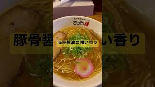 名古屋で和歌山ラーメン、まっち棒を食べる#short #名古屋めし #和歌山ラーメン #ランチ #ラーメン