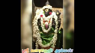 அற்புதங்கள் நிகழ்த்தும் ஸ்ரீ வாராஹி அம்மன்