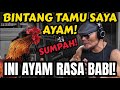 BARU KALI INI GUE PODCAST SAMA AYAM... AYAM‼️🤣 PUTRA Ayam Adi Sudirja Ngamuk di Podcast.