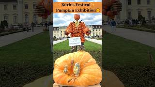 Ludwigsburg Pumpkin Festival 🎃 | World’s Largest Pumpkin Show! | Kürbisfest 2024 Highlights!