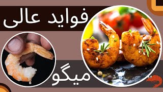 فواید و خواص میگو که برایی بدن ما حیاتی است