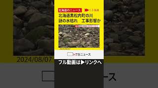 【切り抜き】北海道黒松内町を流れる川　謎の“水枯れ”　北海道新幹線のトンネル工事が関連している可能性 ※フル動画は▶リンクへ