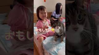 【2歳児と猫】子供と猫のおままごと 。2歳4ヶ月と12歳ねこ。