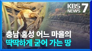 충남 홍성 어느 마을의 딱딱하게 굳어 가는 땅 / KBS  2023.03.06.