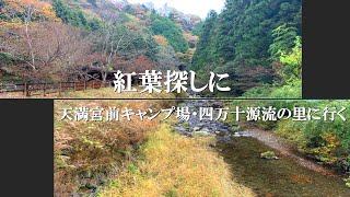 紅葉探しに天満宮前キャンプ場・四万十源流の里に行く