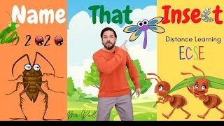 Mr. Puell-Insect Names