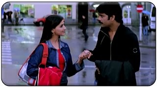 Nagarjuna & Sonali Bendre Romantic Love Scene || Manmadhudu Movie