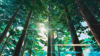 This Is 4k Anime!「Anime Mix」