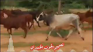 بادية غرب كردفان 🇸🇩