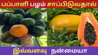 பப்பாளி பழம் சாப்பிடுவதால் கிடைக்கும் நன்மைகள் | Home remedies in tamil | pugaz media |