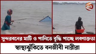 সুন্দরবনের মাটি ও পানিতে বৃদ্ধি পাচ্ছে লবণাক্ততা; স্বাস্থ্যঝুঁকিতে বনজীবী নারীরা | Channel 24