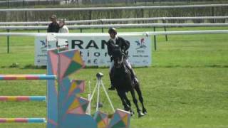 ♂ O'Brion du Plessis- jumping stallion  (SF) by Kannan