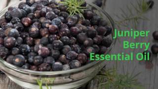 7 Incredible Essential Oils for Treating Autoimmune Diseases \u0026 Disorders