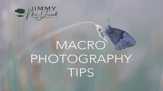 Macro Photography Tips