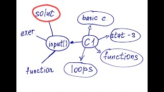 input() function in Python programming language: solutions to the exercises