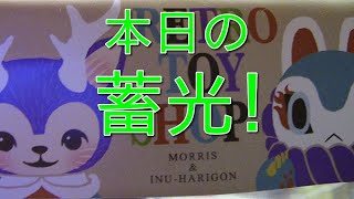 【日本フィギュア連合会！】今日はめちゃくちゃ人気のある蓄光ソフビを紹介するぞ！【抽選販売！】