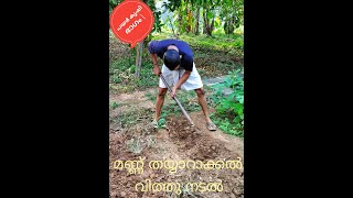 പയർ കൃഷി വിശദമായി (തുടക്കക്കാർക്ക് വേണ്ടി) Detailed Long beans cultivation for beginners (Part 1)