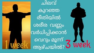 ചിലവ് കുറഞ്ഞ രീതിയിൽ ശരീര വണ്ണം വർധിപ്പിക്കാൻ വെറും മൂന്ന് ആഴ്ചയിൽ?