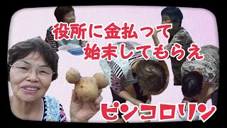 #161【80代のばあちゃん】ピンコロリンがいいべやぁ