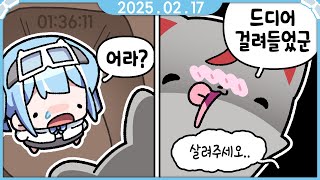 [2025.02.17] 스텔 마크 서버 하늘 배 이어서 만들기