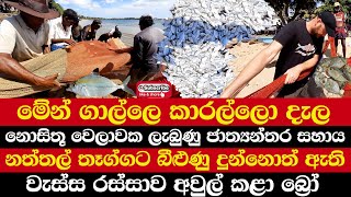 මේන් ගාල්ලෙ කාරල්ලො දැල | නොසිතූ වෙලාවක ලැබුණු ජාත්‍යන්තර සහාය | වැස්ස රස්සාව අවුල් කළා බ්‍රෝ