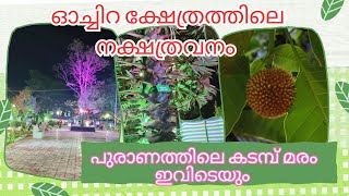 ജന്മനക്ഷത്രങ്ങളുടെ വൃക്ഷങ്ങൾക്കായുള്ള സുന്ദരമായ നക്ഷത്രവനം ഓച്ചിറ പരബ്രഹ്മ സന്നിധിയിൽ /oachiratemple