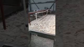 Gelatin Manufacturing Process