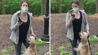 Birdwatcher Talks Recording Video of Woman with Dog in Park