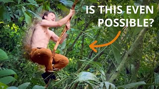 Can you actually swing on a liana like Tarzan? Rainforest myths unveiled