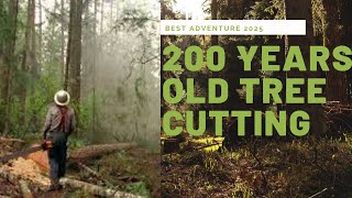 Hilarious Tree Climb: Exploring a 200 Year Old Tree