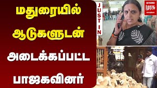 மதுரையில் ஆடுகளுடன் அடைக்கப்பட்ட பாஜகவினர் | Madurai | BJP Protest | Malai Murasu