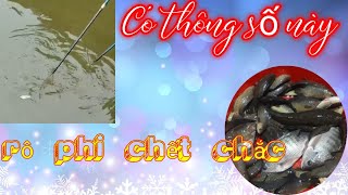 Thông số kích cá C chung có đệm nước ngọt. Thông số chuẩn thương mại