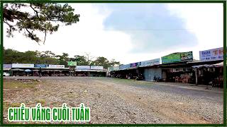 Đà Lạt sáng nắng chiều mưa, dạo quanh Hồ Than Thở cuối tuần vắng lặng, yên bình