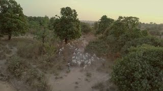 In Nigeria, conflict escalates between farmers and herdsmen